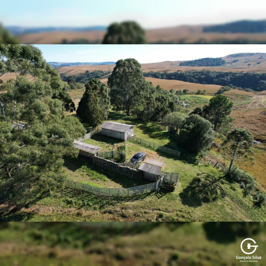 Fazenda com 828 Hectares em Jaquirana