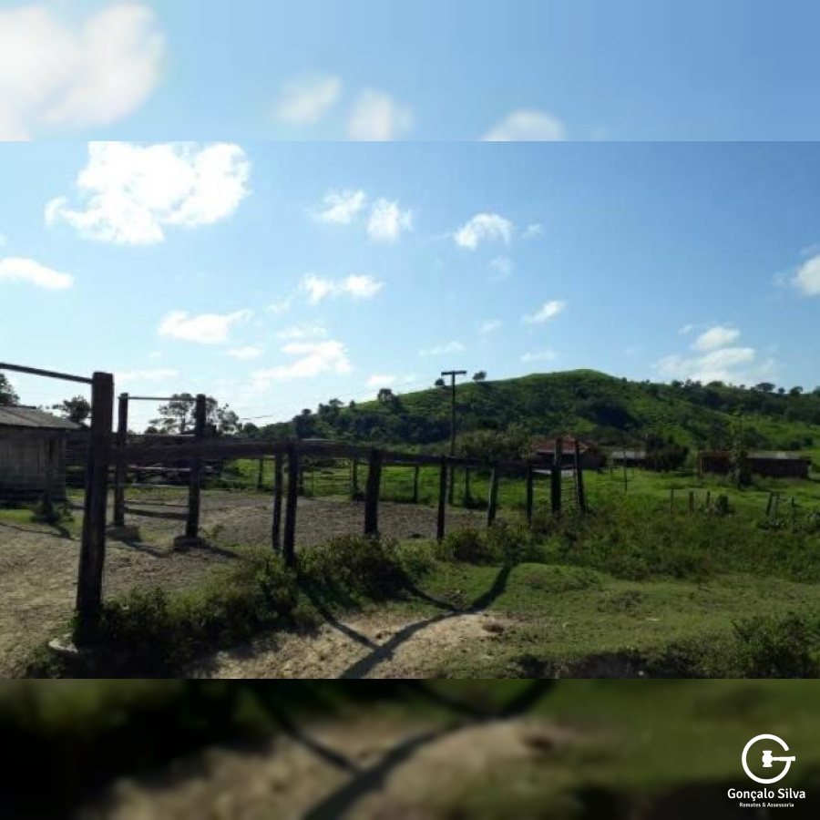 Fazenda no Paraná com 339 Hectares