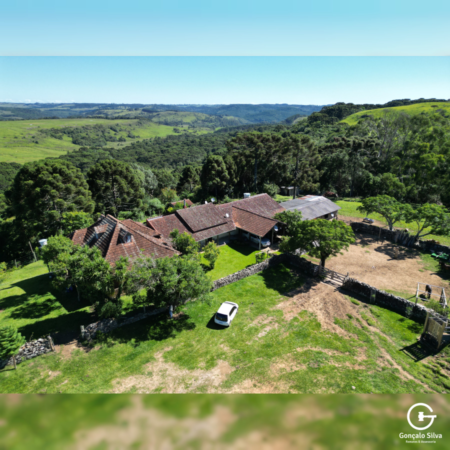 Fazenda com 223 Hectares em São Francisco de Paula