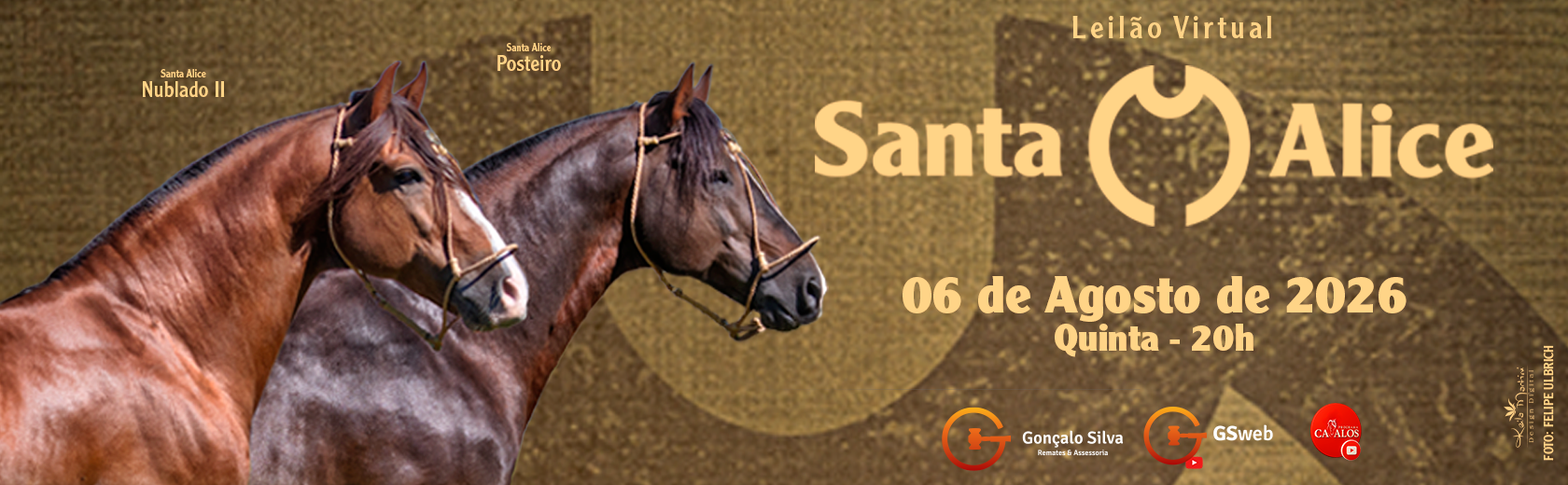 SANTA ALICE 2026