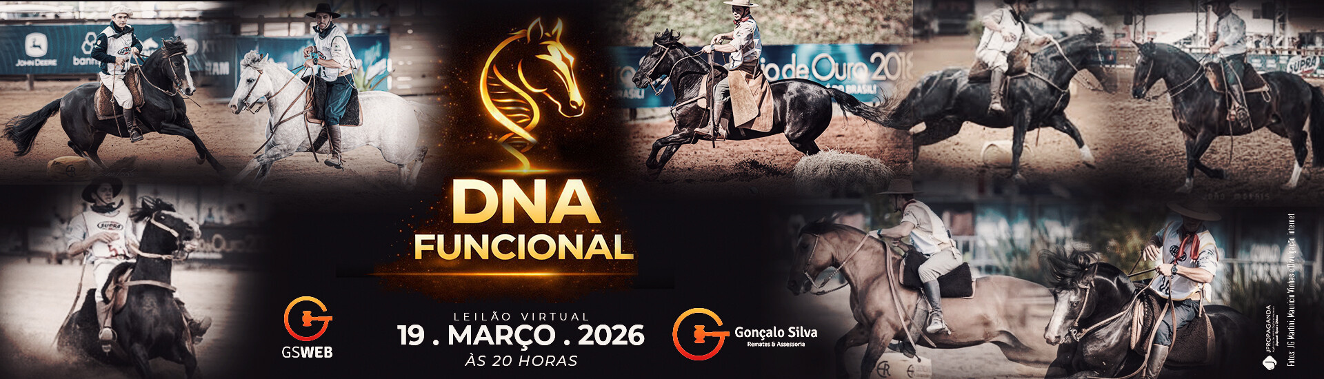 LEILÃO DNA FUNCIONAL