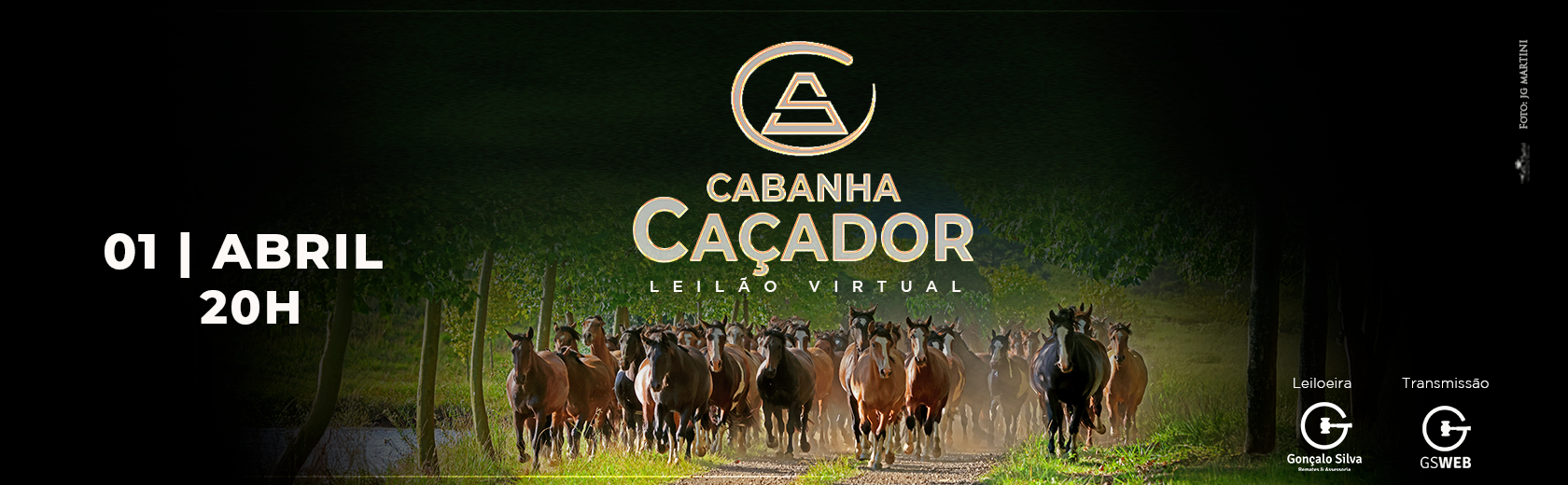 LEILÃO VIRTUAL CABANHA CAÇADOR