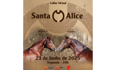 LEILÃO VIRTUAL ESTÂNCIA SANTA ALICE