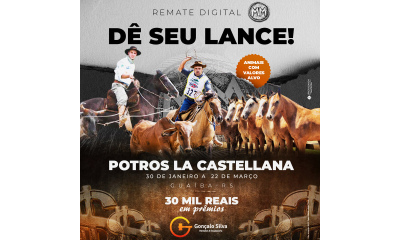 POTROS LA CASTELLANA