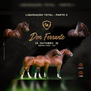 LEILÃO VIRTUAL CABANHA DON FERRANTE - Liquidação Total Parte II