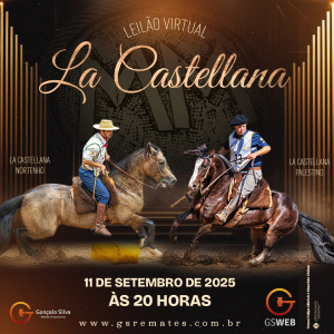 LEILÃO VIRTUAL CABANHA LA CASTELLANA
