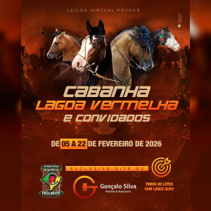 LEILÃO DE POTROS CABANHA LAGOA VERMELHA E CONVIDADOS 