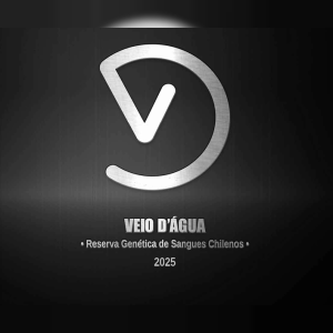 LEILÃO VIRTUAL CABANHA VEIO D'ÁGUA