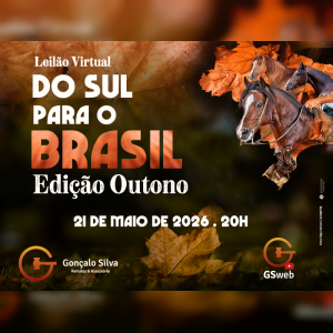 LEILÃO VIRTUAL DO SUL PARA O BRASIL