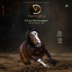 LEILÃO VIRTUAL VEIO D"ÁGUA