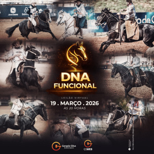 LEILÃO VIRTUAL DNA FUNCIONAL