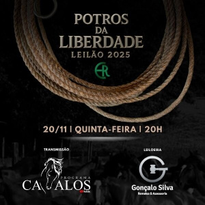 LEILÃO ESTÂNCIA LIBERDADE - RODEIO MILIONARIO 