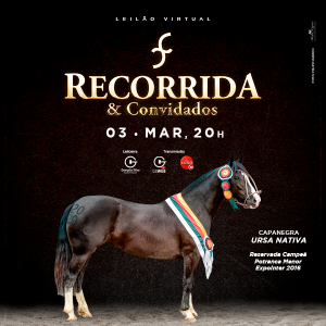 LEILÃO VIRTUAL CABANHA RECORRIDA