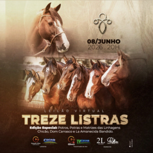 LEILÃO VIRTUAL CABANHA TREZE LISTRAS 