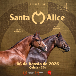 LEILÃO VIRTUAL CABANHA SANTA ALICE 