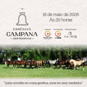 LEILÃO VIRTUAL ESSÊNCIA CAMPANA - SEM RESERVA