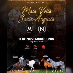 LEILÃO VIRTUAL CABANHA MEIA VOLTA E ESTÂNCIA SANTA AUGUSTA