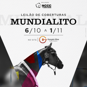 LEILÃO DE COBERTURAS MUNDIALITO