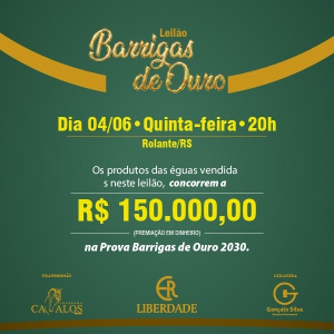LEILÃO BARRIGAS DE OURO