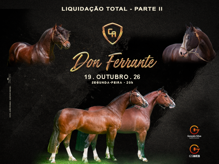 LEILÃO VIRTUAL CABANHA DON FERRANTE - Liquidação Total Parte II