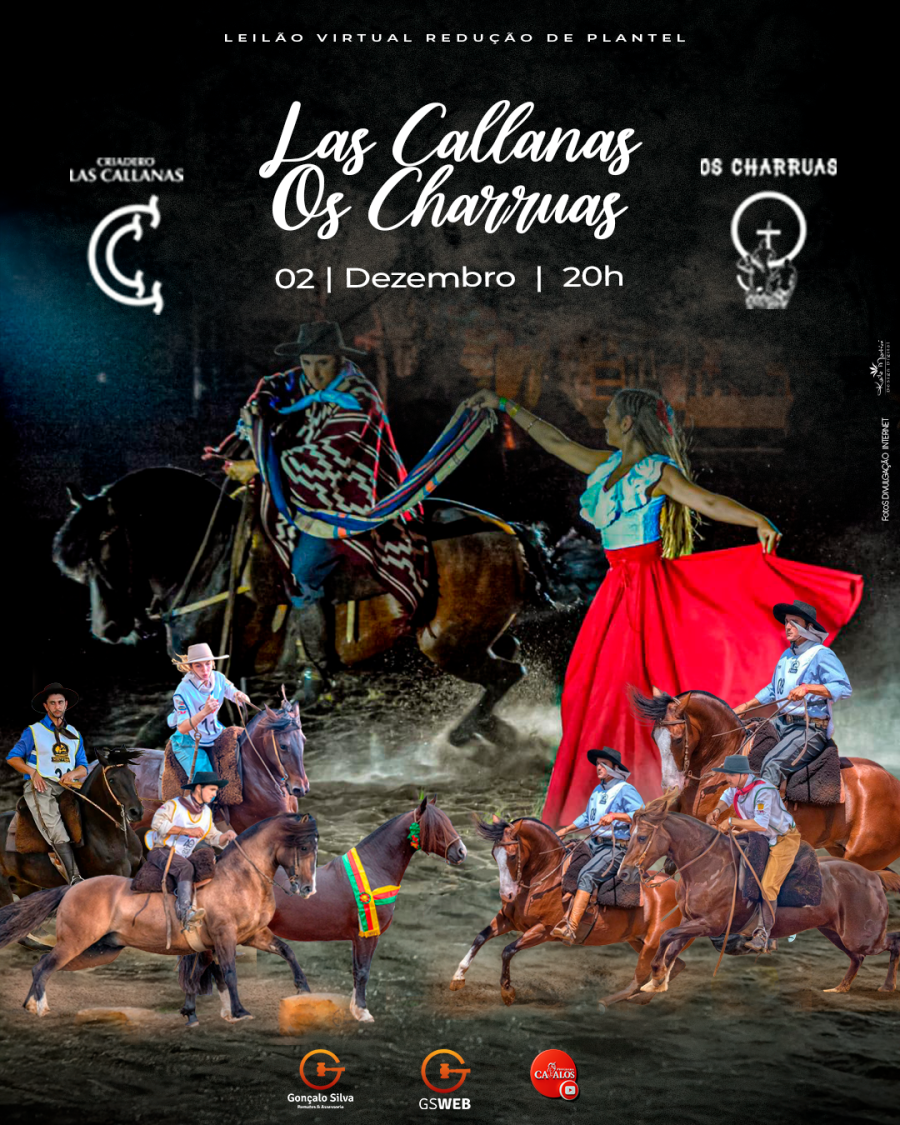 LEILÃO VIRTUAL CABANHA LAS CALLANAS & OS CHARRUAS 