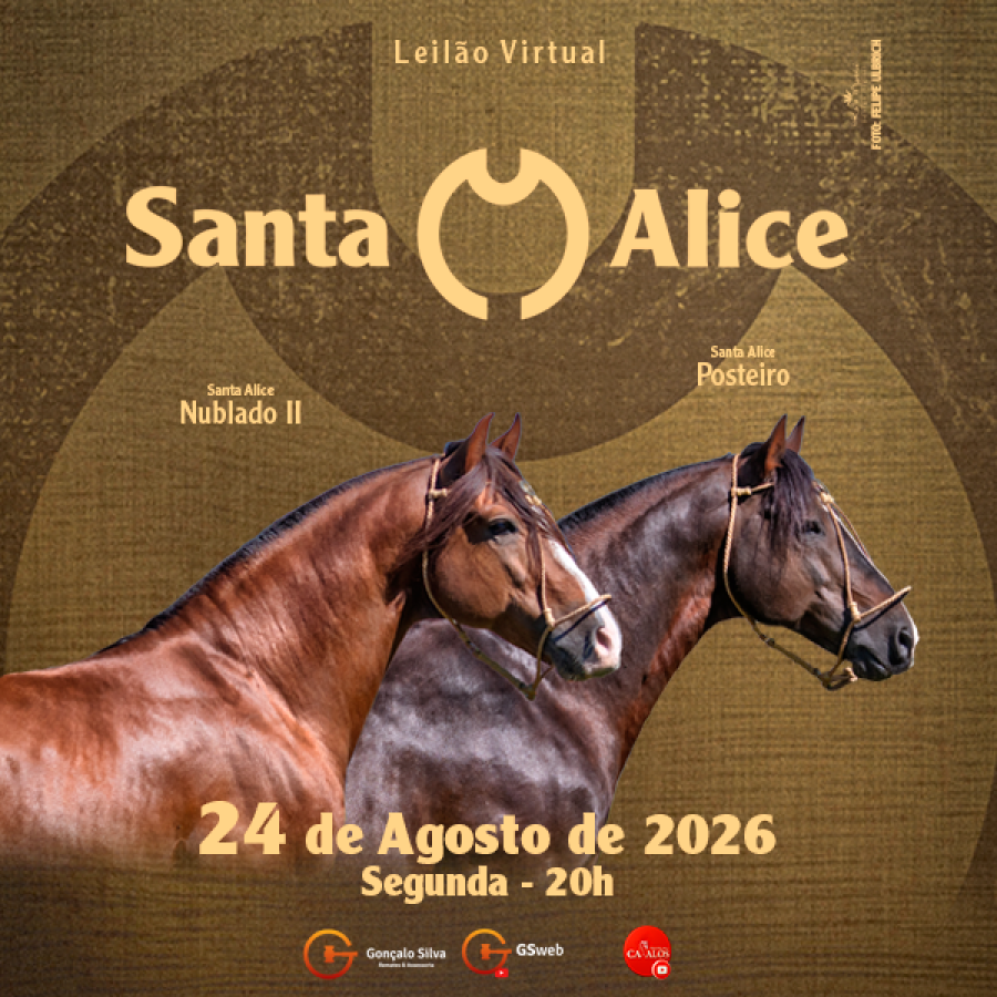 LEILÃO VIRTUAL ESTÂNCIA SANTA ALICE 