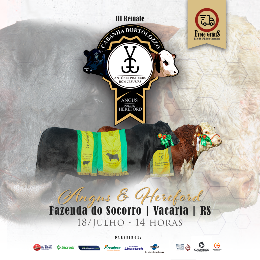 III REMATE CABANHA BORTOLOZZO - Angus e Polled Hereford