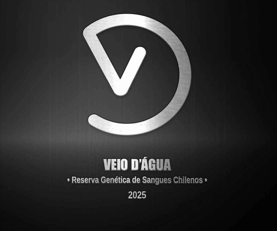 LEILÃO VIRTUAL CABANHA VEIO D'ÁGUA