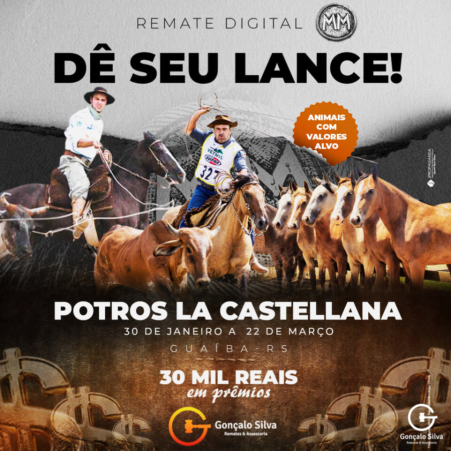 POTROS LA CASTELLANA