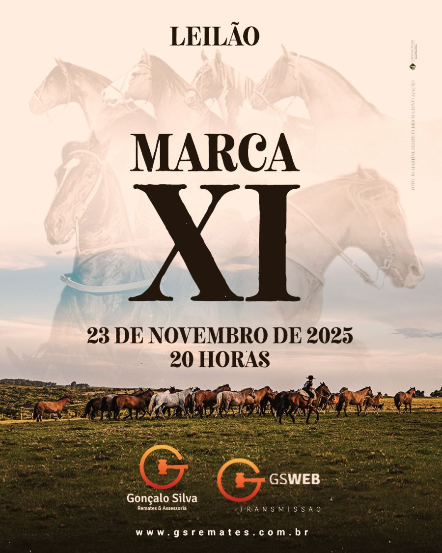 LEILÃO LIQUIDAÇÃO MARCA ONZE