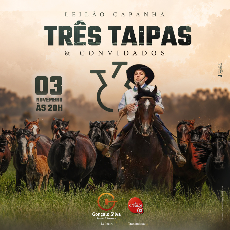 LEILÃO VIRTUAL TRÊS TAIPAS