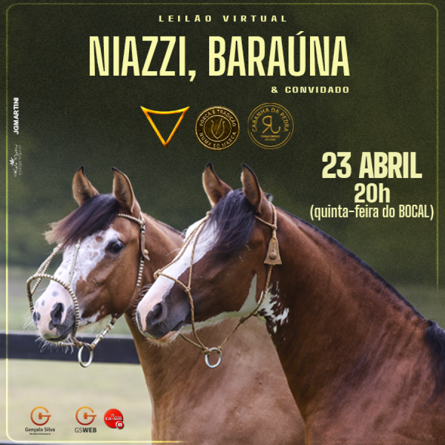 LEILÃO VIRTUAL NIAZZI, BARAÚNA & CONVIDADOS 