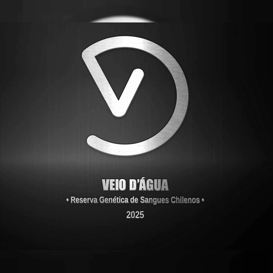 LEILÃO VIRTUAL CABANHA VEIO D'ÁGUA