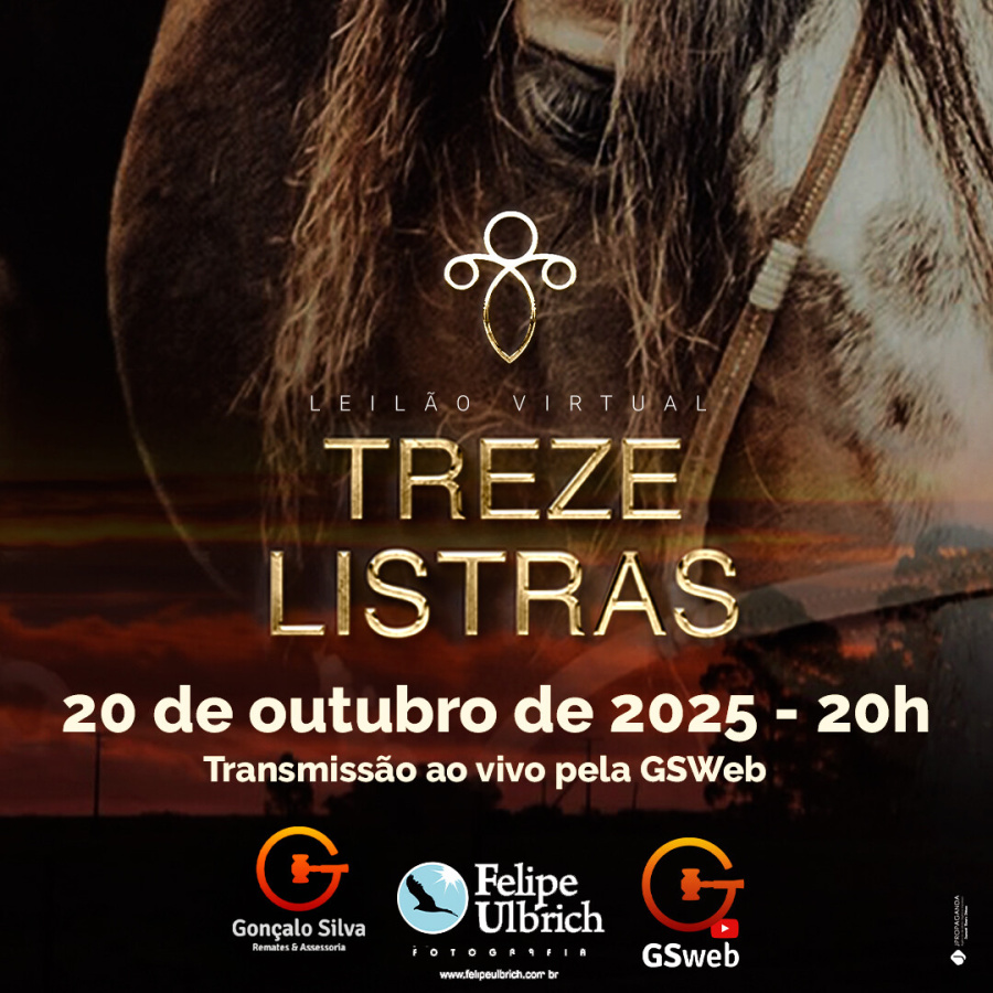 LEILÃO VIRTUAL TREZE LISTRAS 