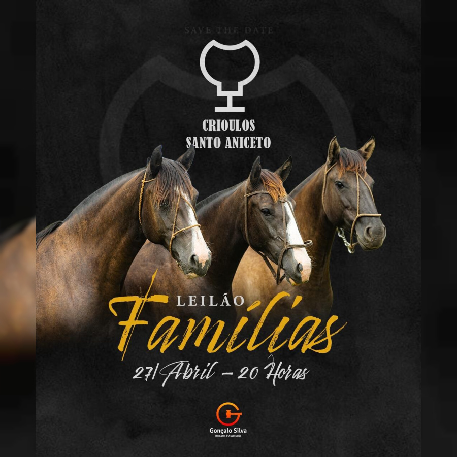 LEILÃO VIRTUAL CABANHA SANTO ANICETO