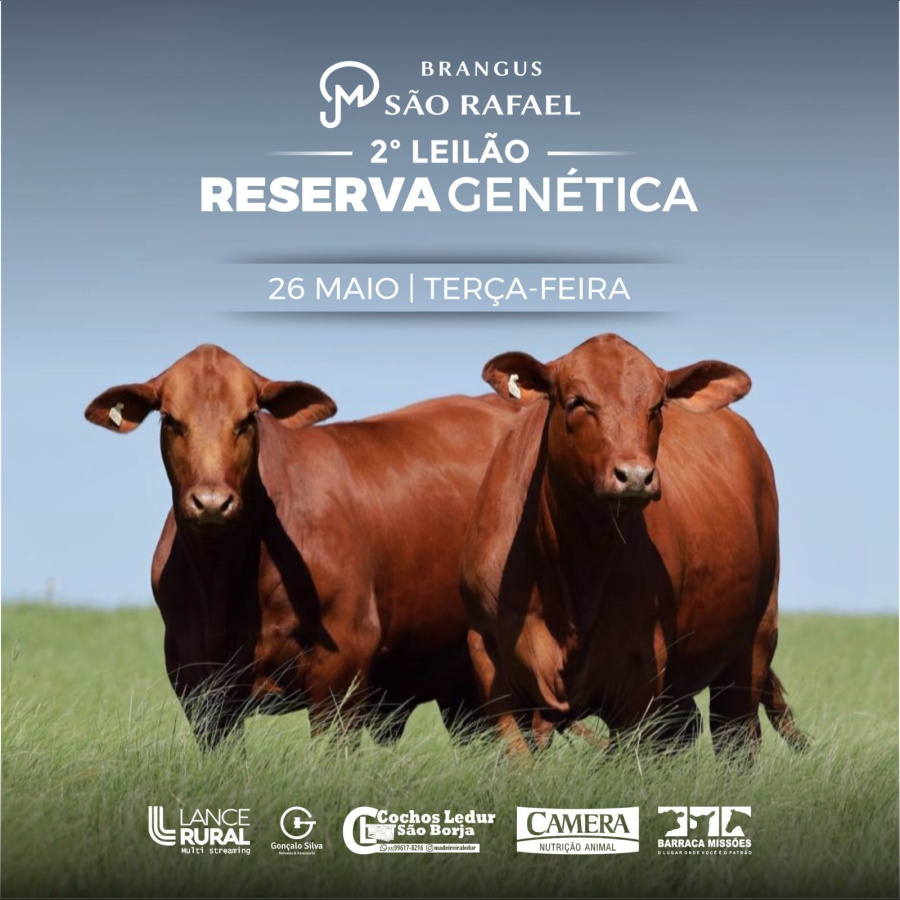 2º RESERVA GENÉTICA - BRANGUS SÃO RAFAEL 