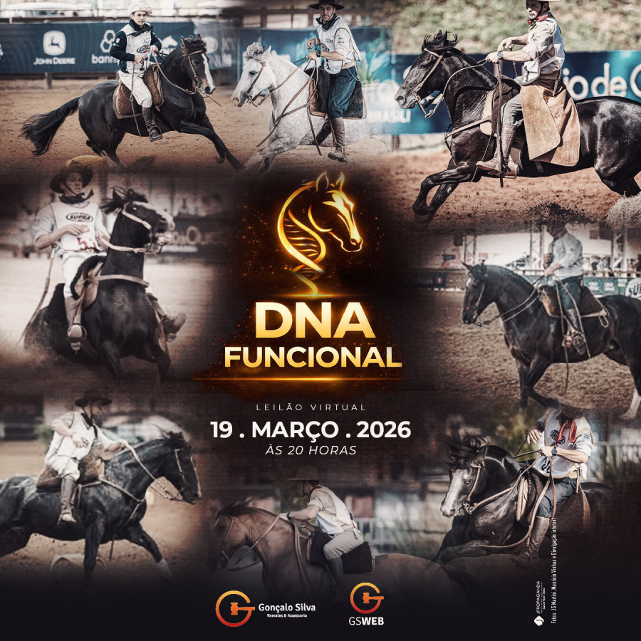 LEILÃO VIRTUAL DNA FUNCIONAL