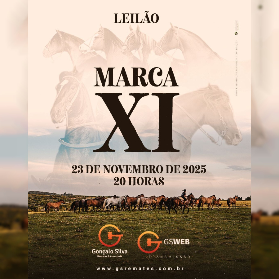 LEILÃO VIRTUAL MARCA ONZE