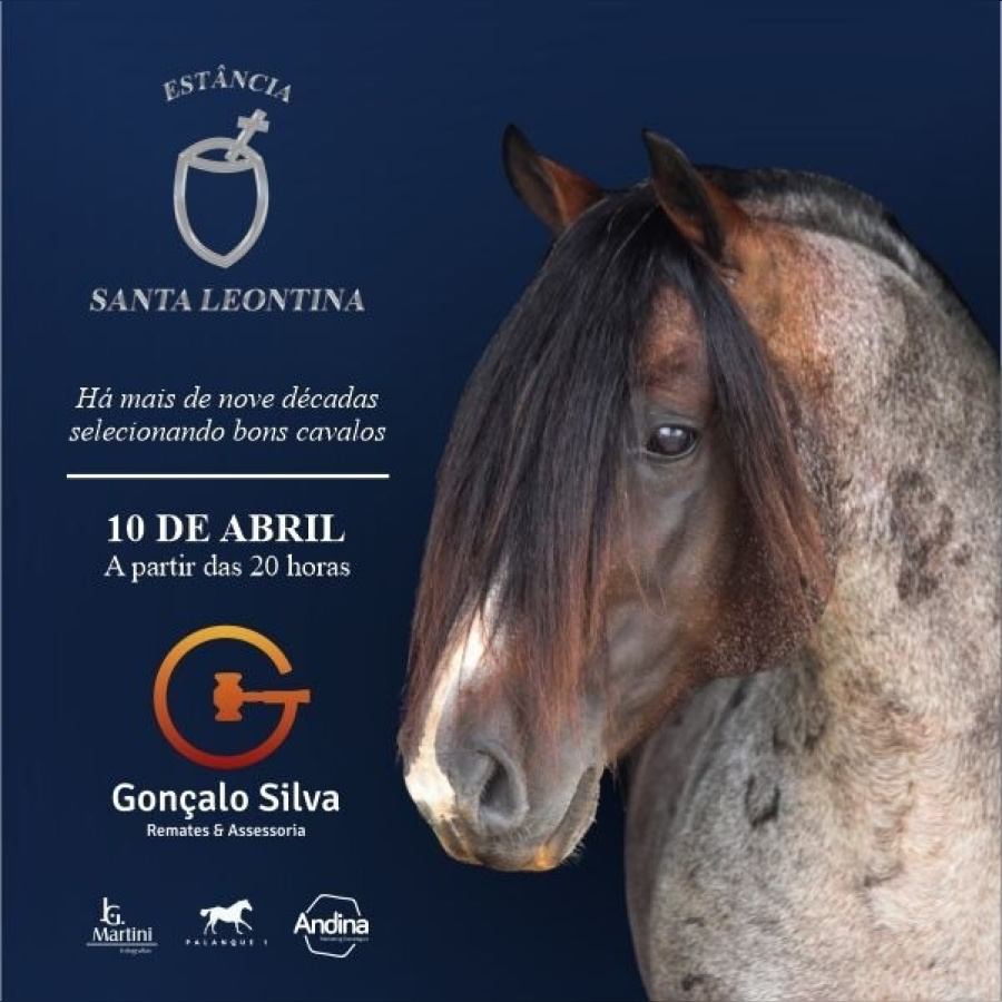 LEILÃO VIRTUAL ESTÂNCIA SANTA LEONTINA