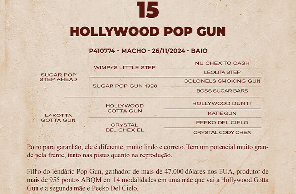 Geração HOLLYWOOD POP GUN