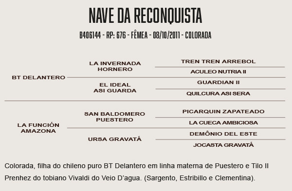 Geração NAVE DA RECONQUISTA