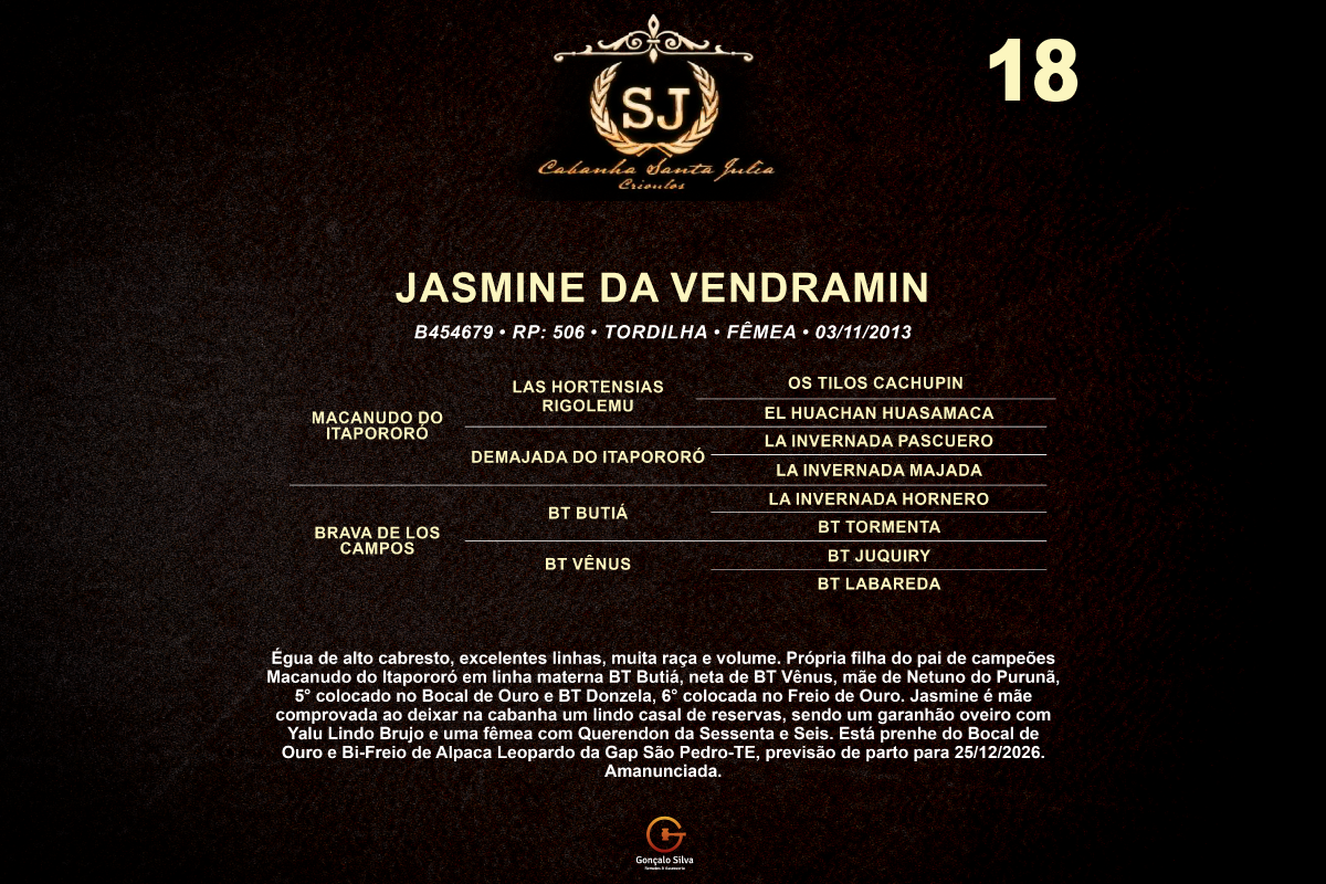 Geração JASMINE DA VENDRAMIN