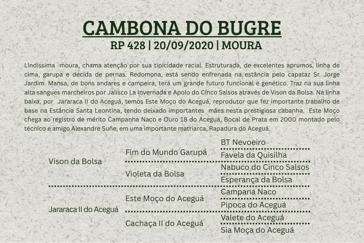 Geração CAMBONA DO BUGRE