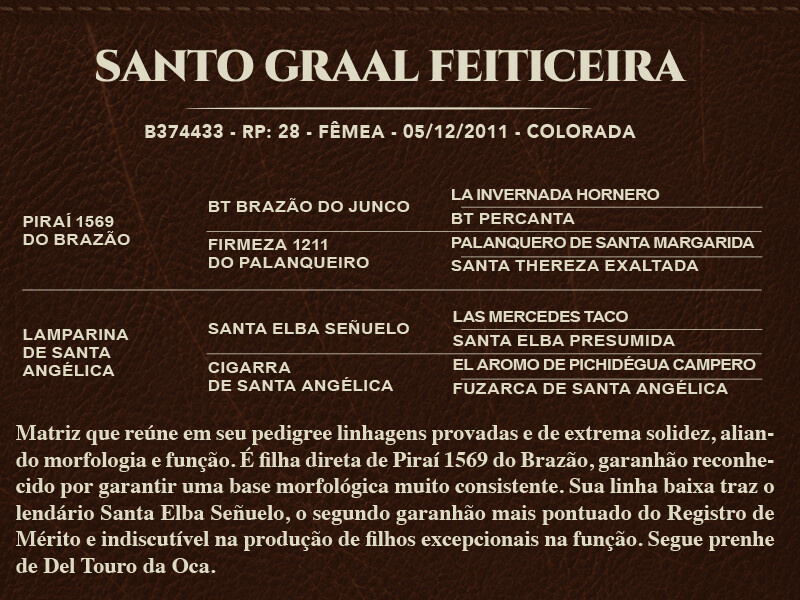 Geração SANTO GRAAL FEITICEIRA