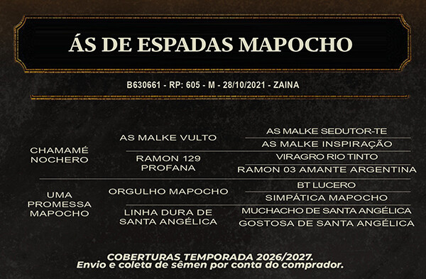 Geração ÁS DE ESPADAS MAPOCHO 