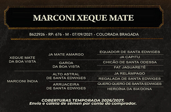 Geração MARCONI XEQUE MATE - TE 