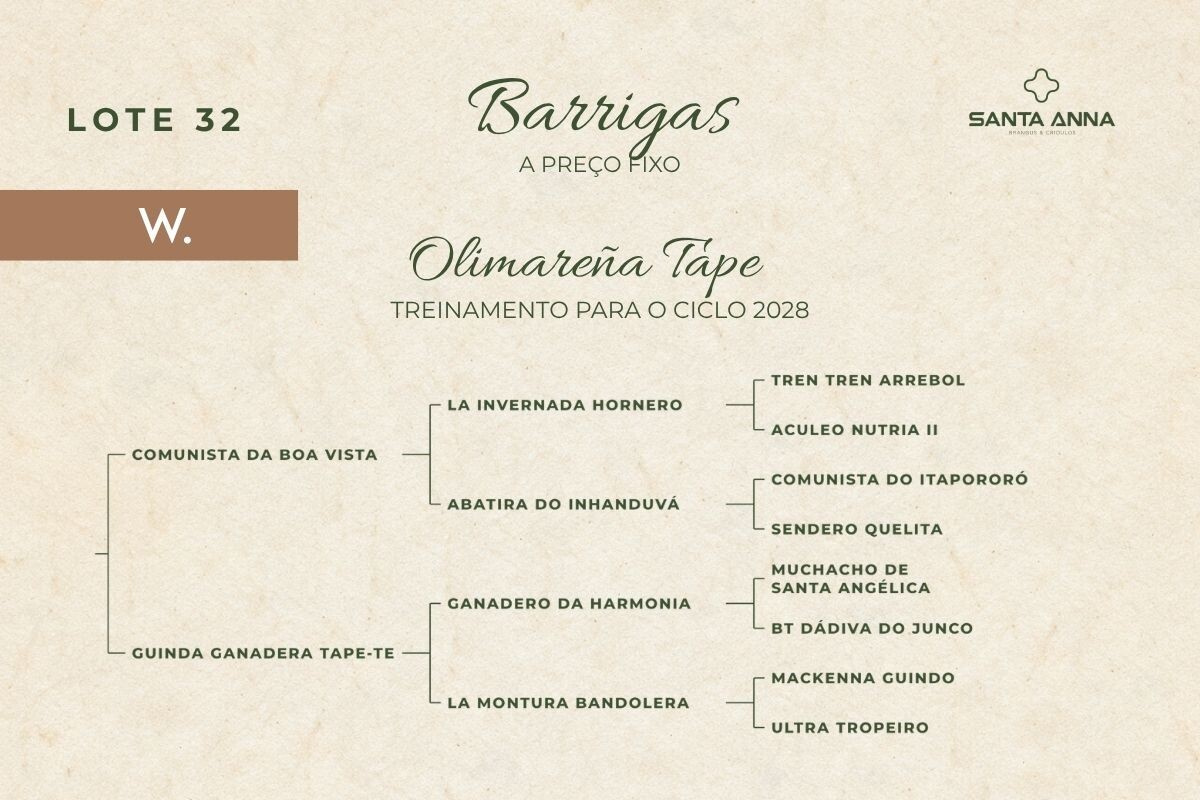 Geração OLIMAREÑA TAPE