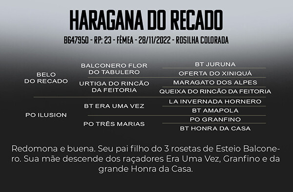 Geração HARAGANA DO RECADO 