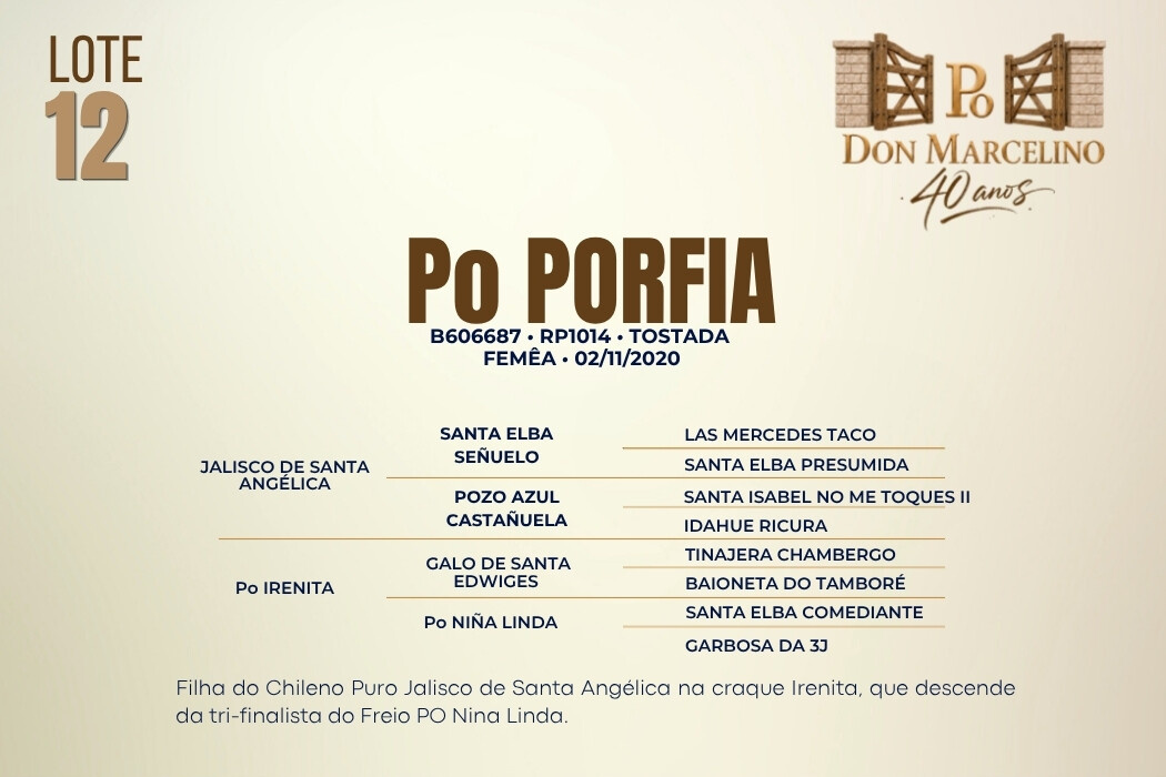 Geração PO PORFIA