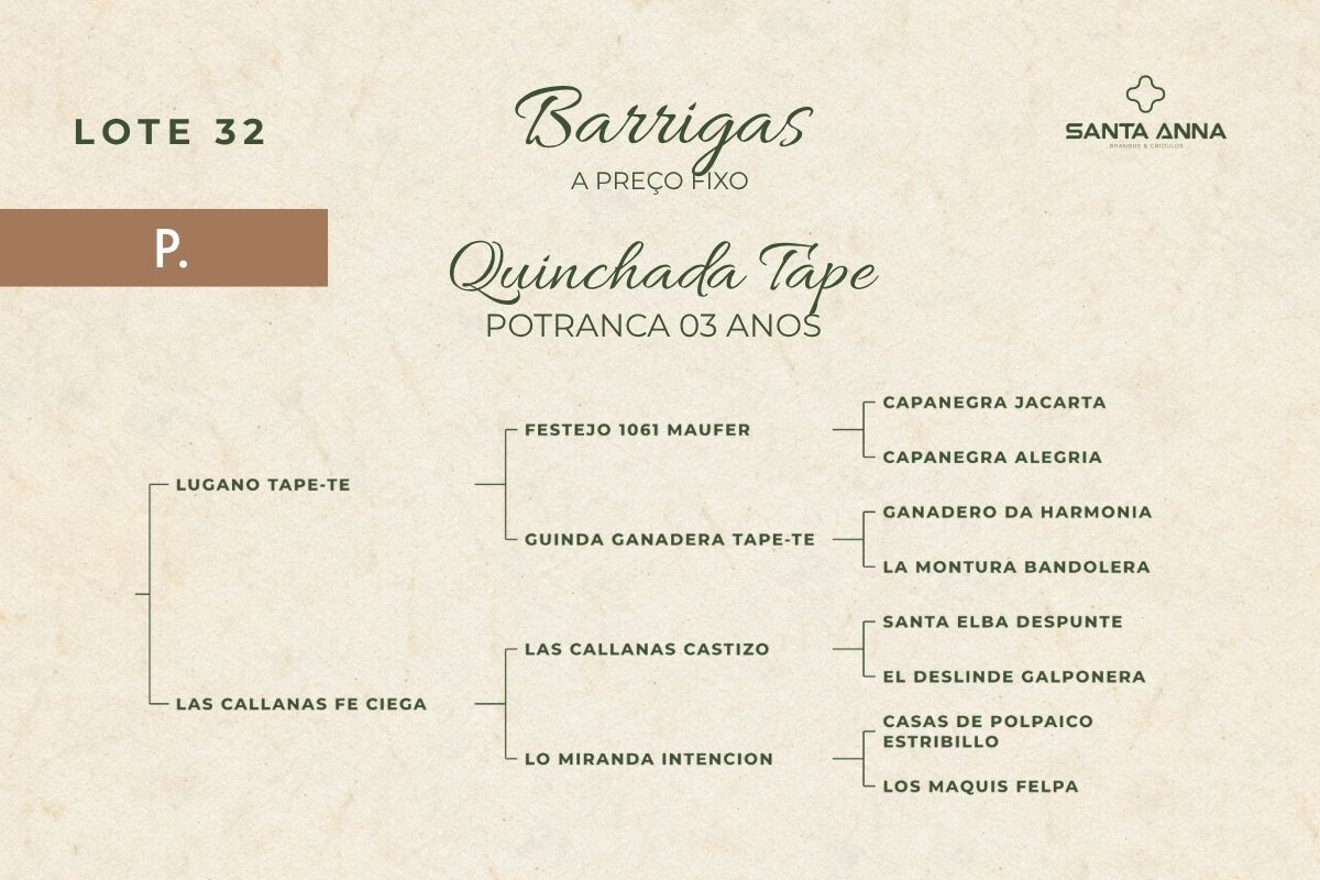Geração QUINCHADA TAPE